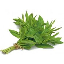 Odea Nane Tohumu - 3 Gram