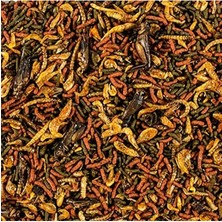 Odea 1000ML Kapasiteye Sahip 320GR Yüksek Kaliteli Besin