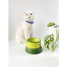 Odea Seramik Mama Su Kabı, Renkli Tasarım, Kedi ve Köpekler Için