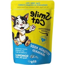 Odea 85 gr Somonlu Kedi Maması - Cat Pouch