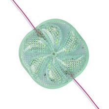 Ett 12 Volt 3 Watt Yeşil Sabit 6565-2835 Modül LED