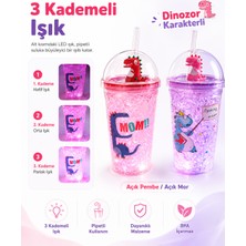 Pipetli Suluk Dinazor Temalı Buz Görünümlü LED Işıklı 450 ml Çift Katman Mika Su Şişesi