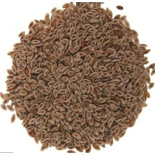 Karakız Karnıyarık Otu Tohumu Dökme 1 Kg
