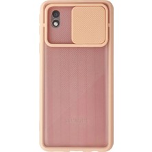 Derin Stok Galaxy A01 Core Kılıf Palm Buzlu Kamera Sürgülü Silikon - Pembe