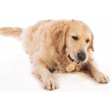 Greenbo Köpekler Için Oyuncak (L)