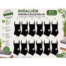 Qulat 12'li Erkek Bambu Patik Çorap Dikişsiz
