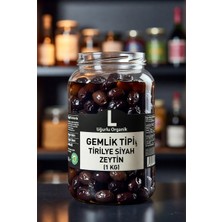 Gemlik Tipi Tirilye Zeytin (1 Kg) – L