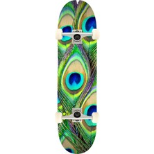 Mini Logo 8.0 Peacock Feather Complete