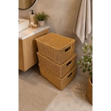 Morponi 3'lü Kapaklı Hasır Rattan Organizer Sepet SHR4404