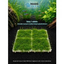 Mabs Tech Akvaryum Zemini Moss Halısı Kaplama Aparatı 1 Adet – Moss Teli Yerine Kullanılan 6X6 cm Modüler Moss Izgara Tepsisi