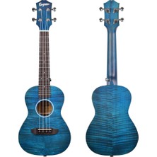 Kaysen U3-24BL Concert Ukulele