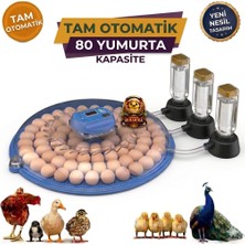Aslan Kuluçka 80 Yumurta Kapasiteli Tam Otomatik Kuluçka Makinesi