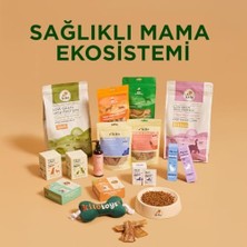 Kito Toys Balık Peluş Kedi Oyuncağı