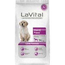 Lavital Kuzulu Büyük Irk Yavru Köpek Maması 3kg