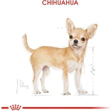 Canin Chihuahua Köpek Konservesi 85 gr