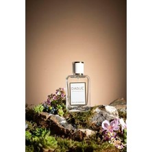 K05 Delina Exclusif Edp 50 ml Kadın Parfüm