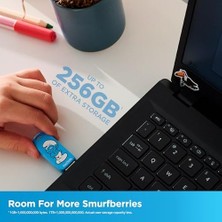 Smurfs USB Disk 256 GB