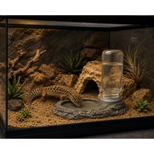 E Craft 3D Teraryum Sürüngen Şişe Takılabilir Su Kabı