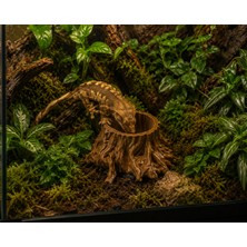 E Craft 3D Ağaç Görünümlü Sürüngen Yem Kabı