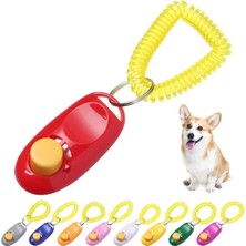 LTG Nova Eğitimi Clicker
