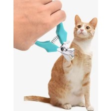 Aksiyon Global Yaylı Kedi ve Küçük Irk Köpek Tırnak Makası