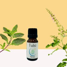 Güzel Hediyem Tulsi (Holy Basil/hint Fesleğeni) Uçucu Yağı 10 ml | Haven Herbs & Blends
