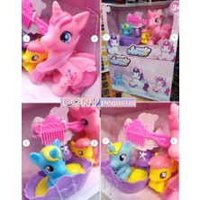 Oyuncak Sahili Pony Ailesi Unicorn 6 Parça Oyuncak Figür Tarak Şampuan Küvet Duş Aksesuarlı Rainbow Dash Pinkie