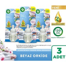 Air Wick Elektrikli Oda Kokusu Yedek Şişe Beyaz Orkide, 3x19ml