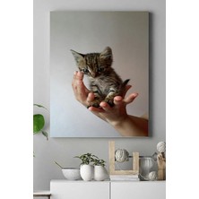 Güzel Hediyem (PSTER16481) Kedi Hayvan Kanvas Tablo 4 30 x 40