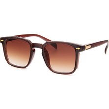 Falenti AE981-C2 49 Unisex Güneş Gözlüğü