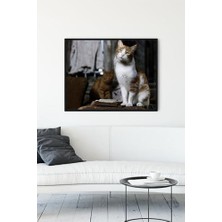 Güzel Hediyem (PSTER11538) Kedi Hayvan Çerçeveli Tablo 6 (50X70CM)