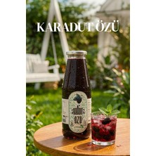 Karadut Özü 950 gr Karadut Dünyası'ndan Doğal ve Taze Lezzet, Katkı Maddesi İçermez