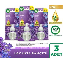 Air Wick Elektrikli Oda Kokusu Yedek Şişe Lavanta Bahçesi, 3x19ml