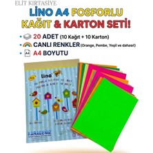 Elit 10'lu Fosforlu Karton ve Kağıt  Set 5 Renk