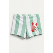 Bony Socks Erkek Çocuk Sea La Vie Yeşil Slim Fit Mayo