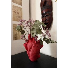 Anatomik Kalp Vazo Dekoratif Hediye 20CM