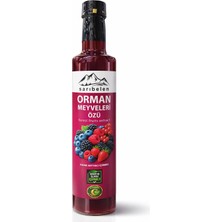 sarıbelen Orman Meyveleri Özü 650 G