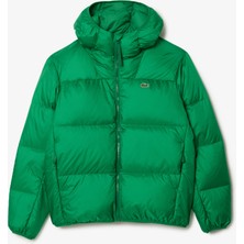 Lacoste Erkek Relaxed Fit Kapüşonlu Yeşil Şişme Mont
