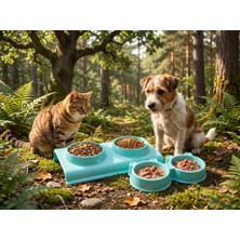 cesoyuncak 2 Adet Büyük ve Küçük Boy Çiftli Kedi Köpek Mama ve Su Kabı, Kedi Köpek Mama Kabı, Yükseltilmiş Eğimli Mama Kabı Su Kabı
