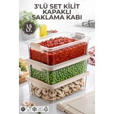 Nandy Home 3'lü Set 1,5lt. Decobox Çok Amaçlı Saklama Kabı - Piknik Taşıma Seti - 1,5lt.