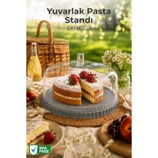Nandy Home Kapaklı Yuvarlak Pasta Standı Sunumluk Kek ve Tatlı Servis Fanusu 25 cm