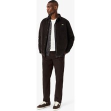 Lacoste Erkek Regular Fit Chino Kahverengi Pantolon