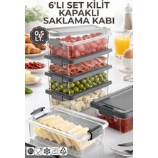 Nandy Home 6'lı Set 0,5lt. Decobox Çok Amaçlı Saklama Kabı - Piknik Taşıma Seti - 0,5lt.