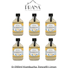 Prana 6×200ML Kombucha Zencefil-Limon