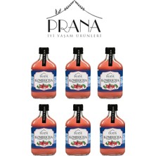 Prana 6×200ML Kombucha Ahududu
