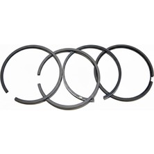 Antor 6LD325 Segman Takımı Std 78MM