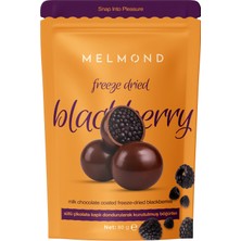 Sütlü Çikolatalı Freeze Dried Böğürtlen Draje