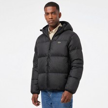 Lacoste Erkek Relaxed Fit Kapüşonlu Siyah Şişme Mont