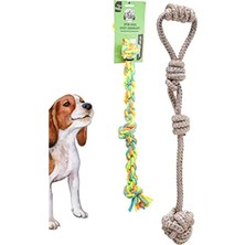 Fadem Store Renkli Çekiştirme Halatı, Pamuk Köpek Oyuncağı Seti