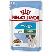 Fadem Store 10 Lt Marsilya Sabun Kokulu Kedi Kumu, Topaklanan
